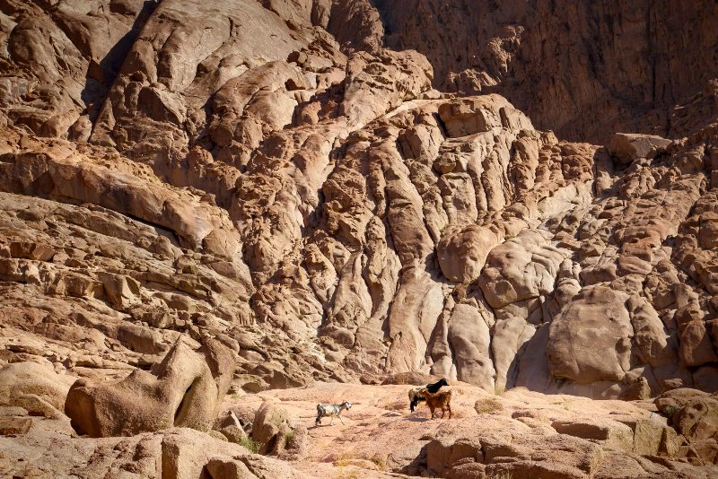 junye fotografy kramatorska.jpg2