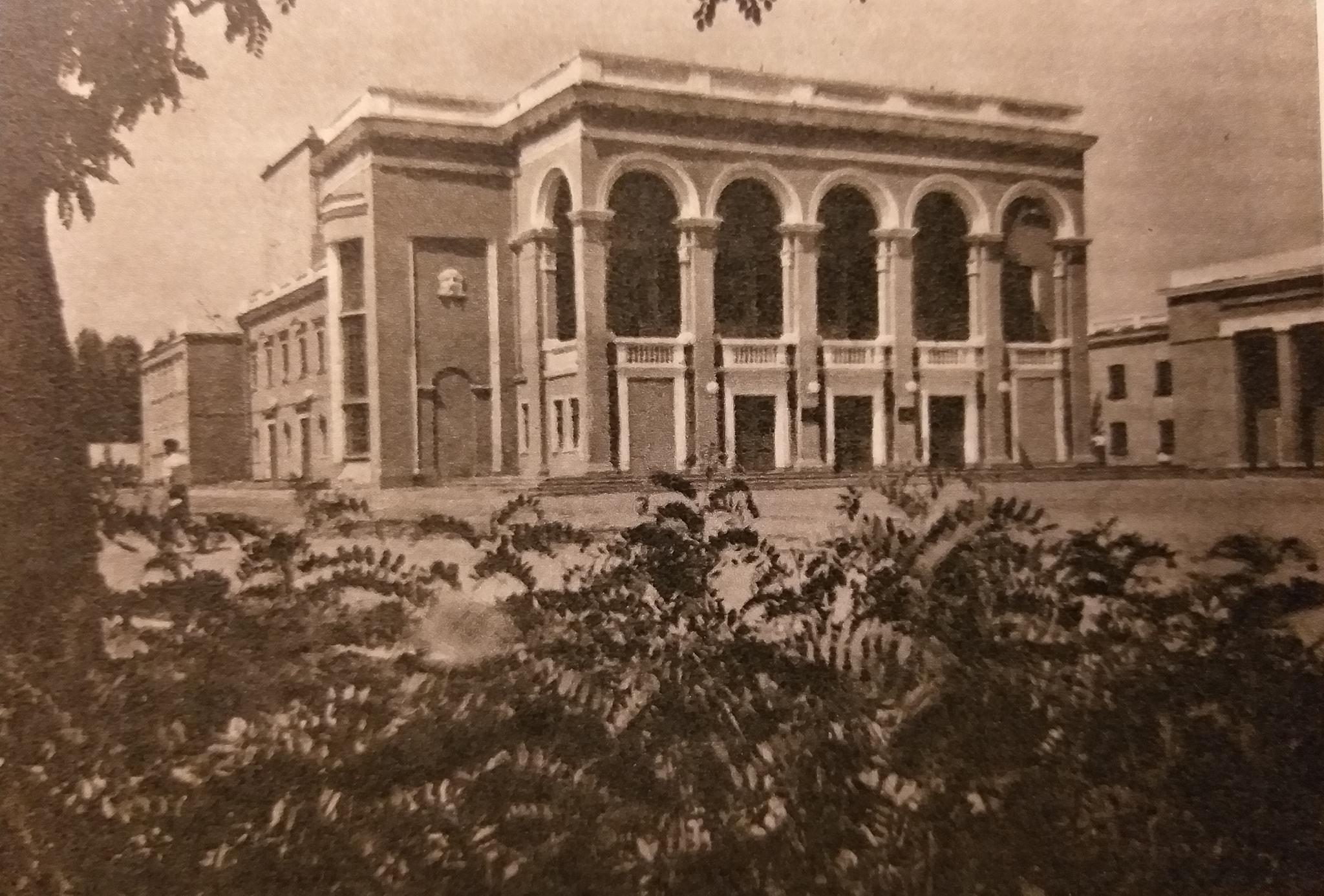 124037202 3560985360636813 8846226546123381948 o