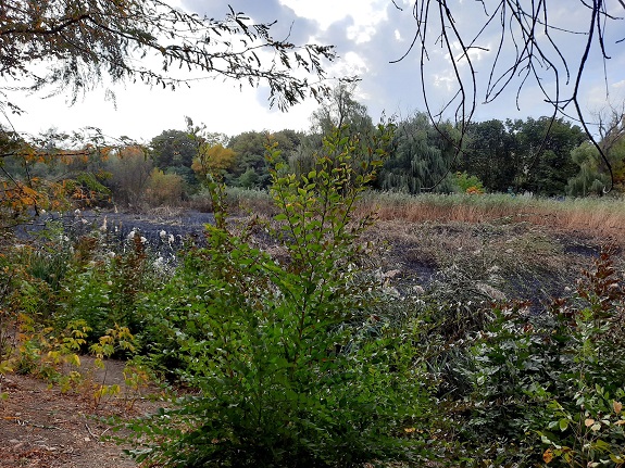V Kramatorske ocherednoj pozhar na jetot raz v parke Jubilejnom 2