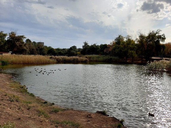 V Kramatorske ocherednoj pozhar na jetot raz v parke Jubilejnom 3
