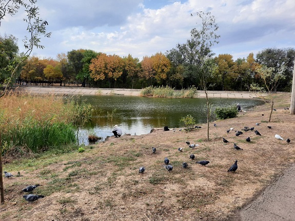 V Kramatorske ocherednoj pozhar na jetot raz v parke Jubilejnom 6