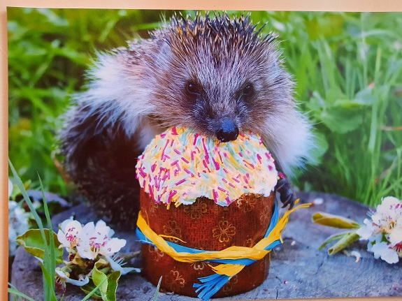 V Kramatorske otkrylas fotovystavka Po strokam pojeticheskim shagaet ezh liricheskij 13