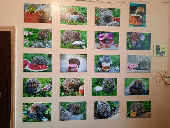 V Kramatorske otkrylas fotovystavka Po strokam pojeticheskim shagaet ezh liricheskij 15