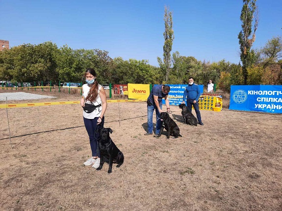 V Kramatorske za zvanie chempionov borolis predstaviteli mnogochislennyh sobachih porod 18