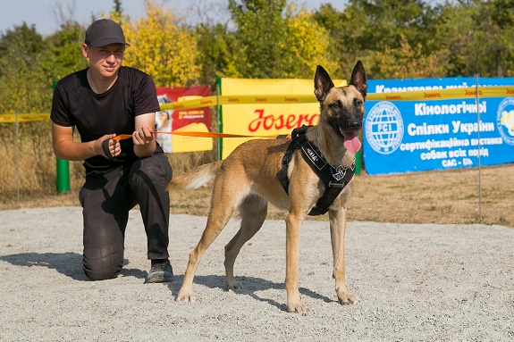 V Kramatorske za zvanie chempionov borolis predstaviteli mnogochislennyh sobachih porod 2