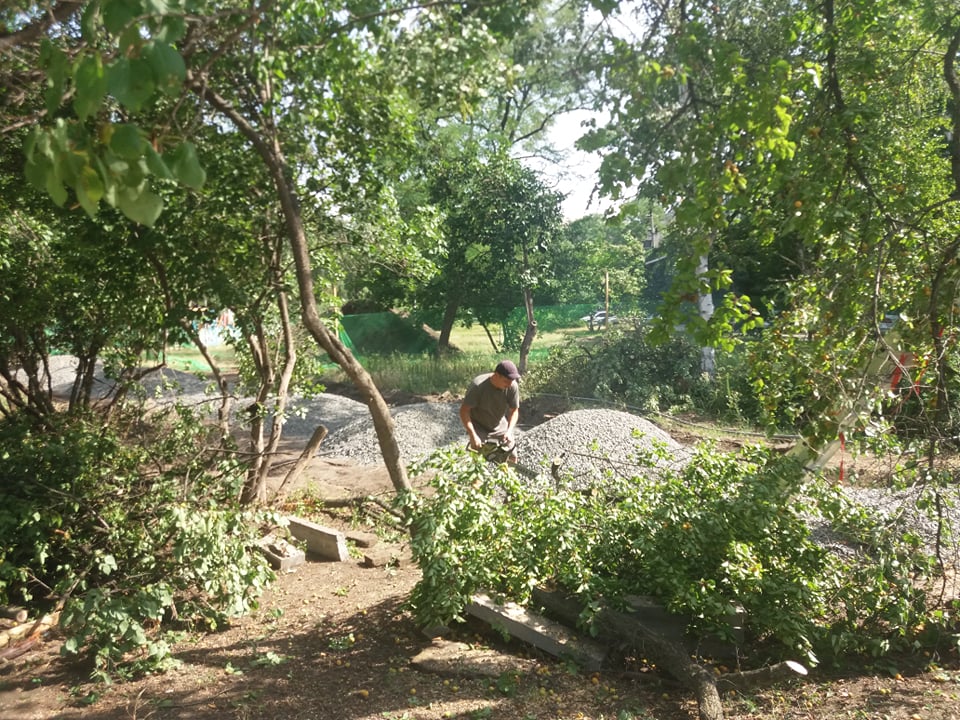 V Kramatorske pri blagoustrojstve skvera Profsojuzov snosjat starye derevja 3