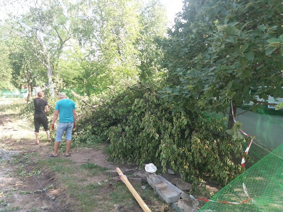 V Kramatorske pri blagoustrojstve skvera Profsojuzov snosjat starye derevja 4