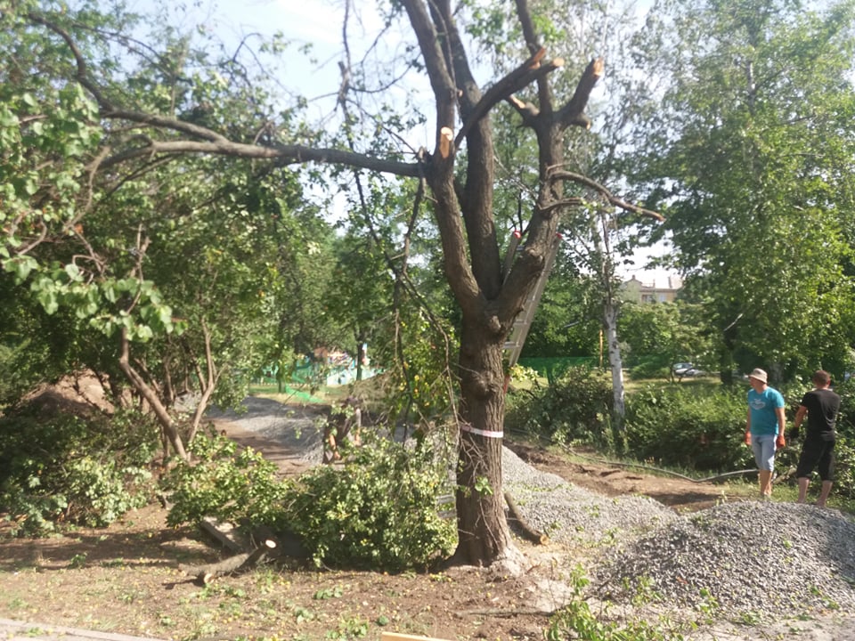 V Kramatorske pri blagoustrojstve skvera Profsojuzov snosjat starye derevja 6