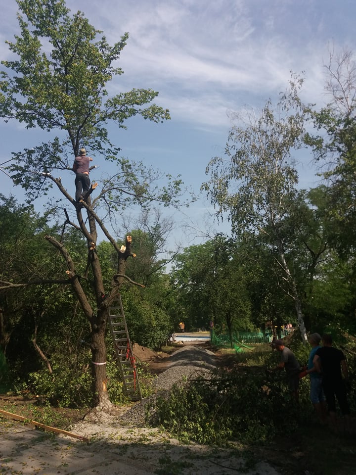 V Kramatorske pri blagoustrojstve skvera Profsojuzov snosjat starye derevja 7