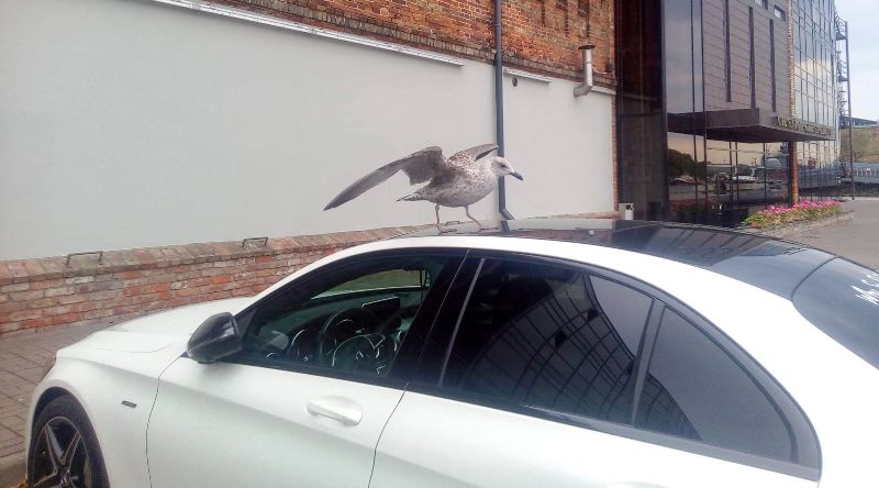 120132514 333396924658409 7783007528240833089 n