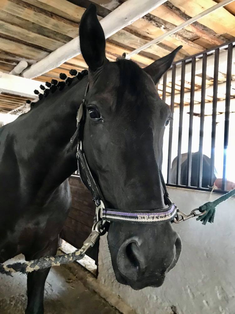 kramatorsk sofia kruglikova2