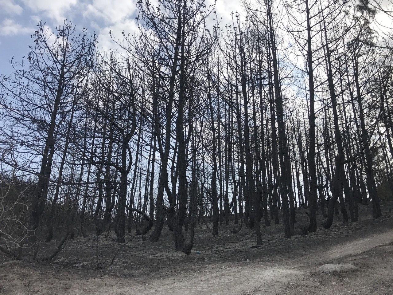 kramatorsk landchaftnii park5