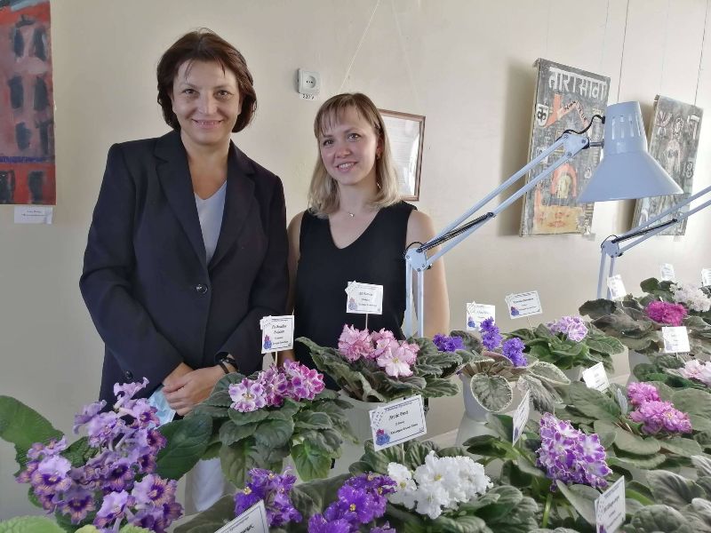 vystavka fialok kramatorsk