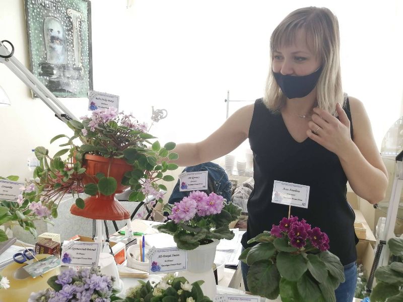 vystavka fialok kramatorsk.jpg4