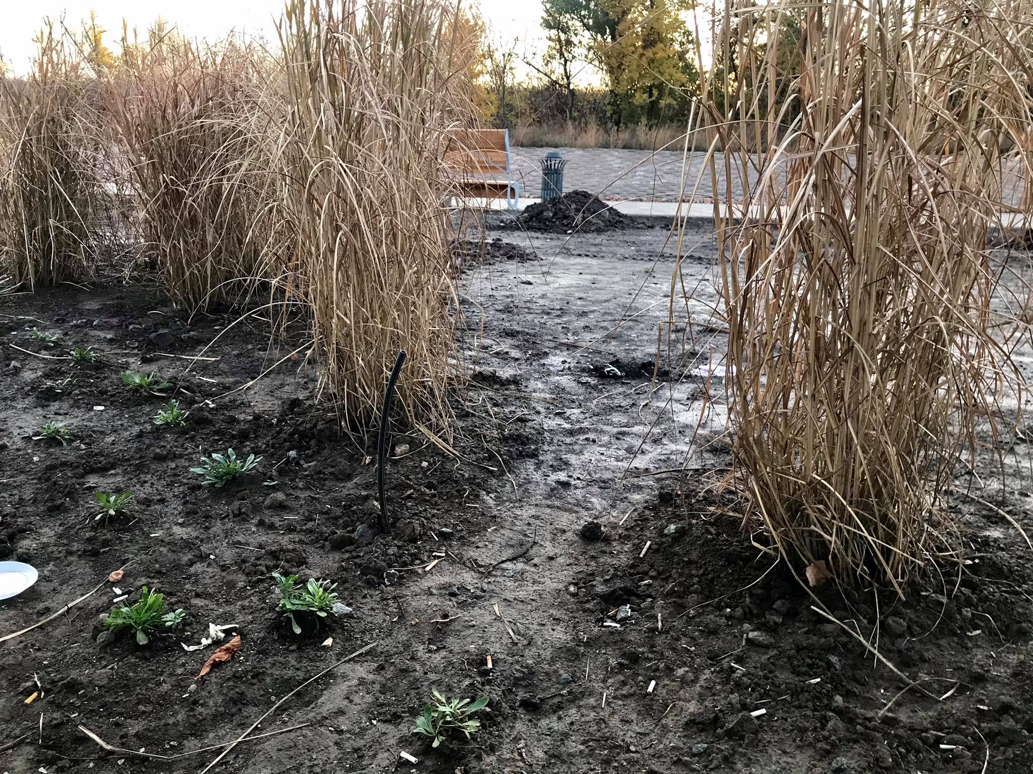 sad bernatskogo park