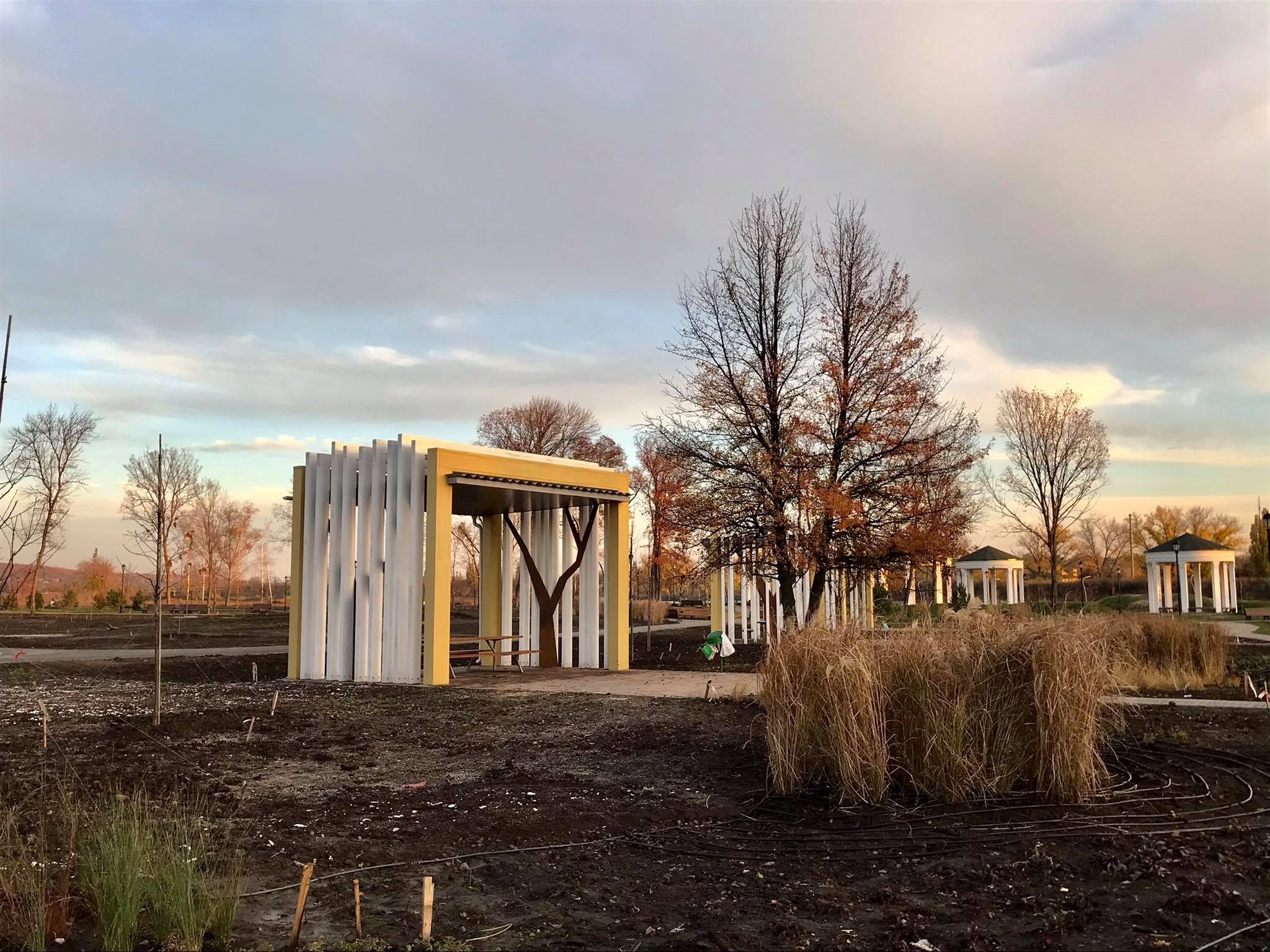 sad bernatskogo park1