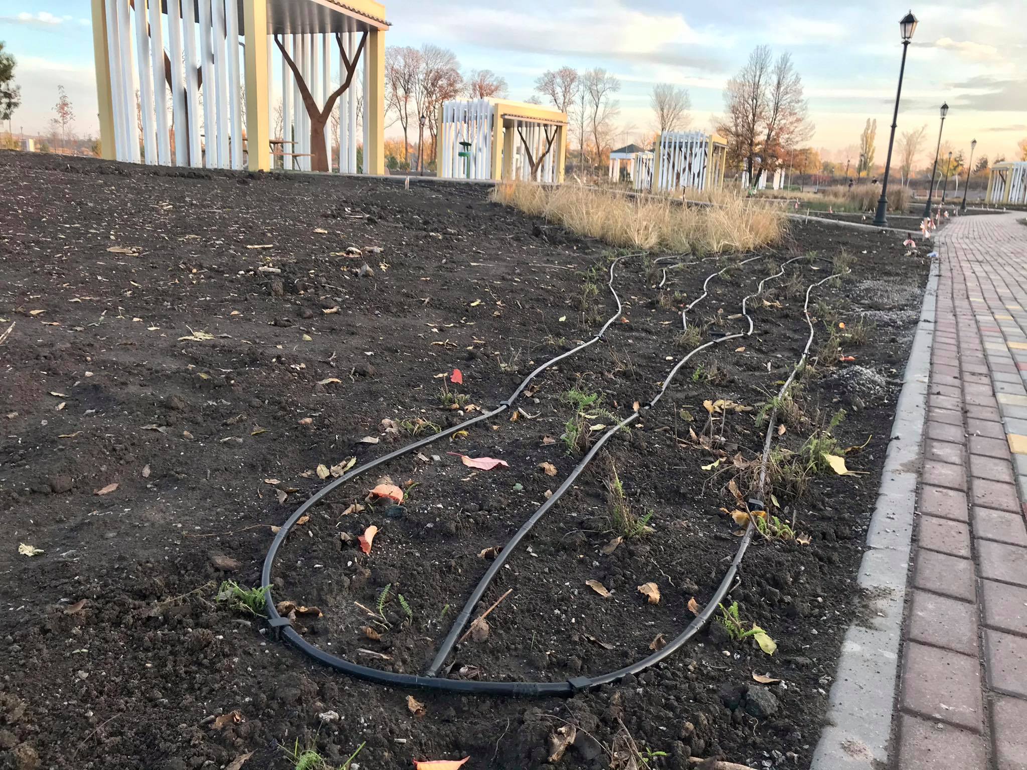 sad bernatskogo park2