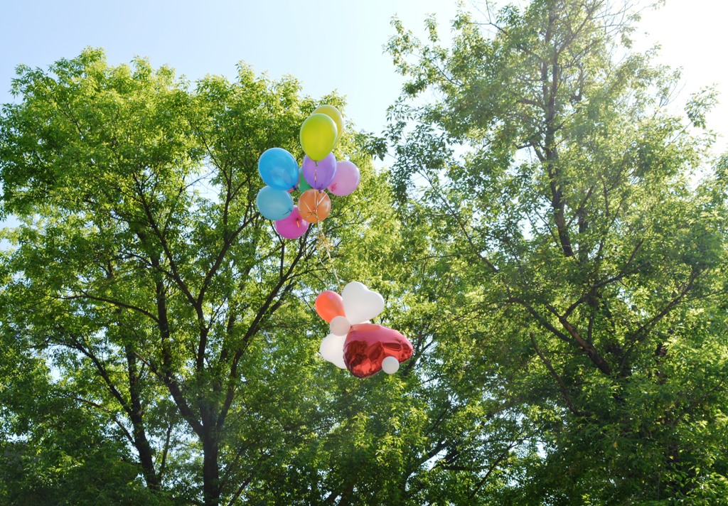 DSC 0916