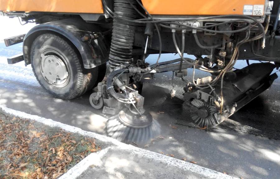 14284981 1172923089447580 685525260 o