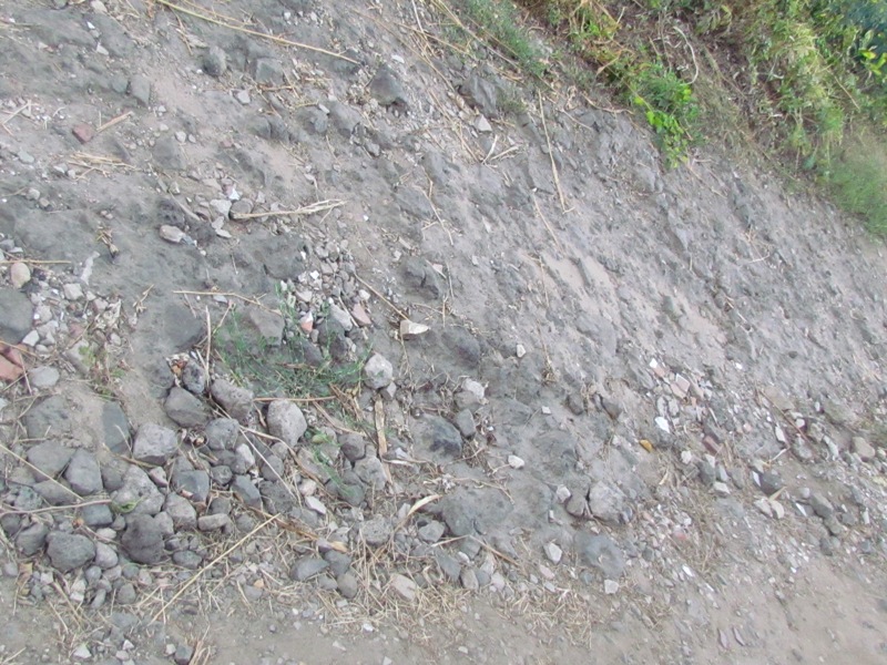 IMG 009296