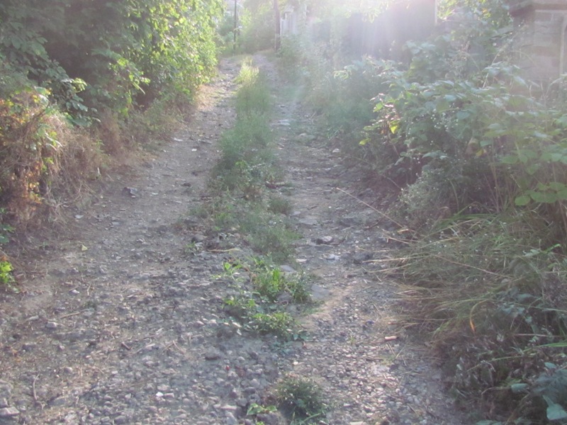 IMG 009497