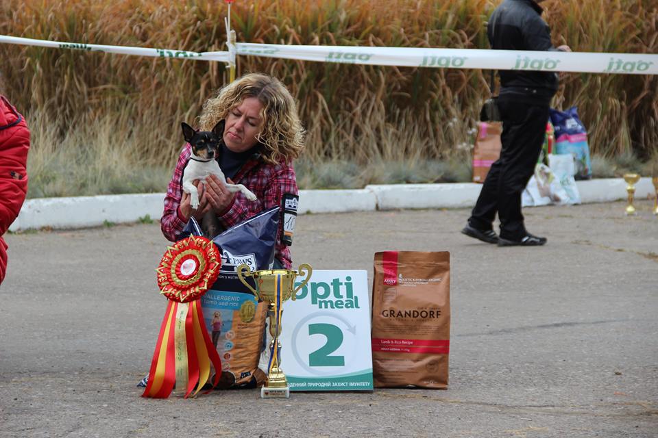 14457248 528219630704740 6701612808289638006 n