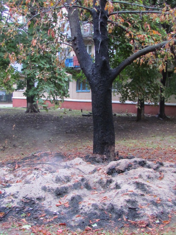 IMG 000300001
