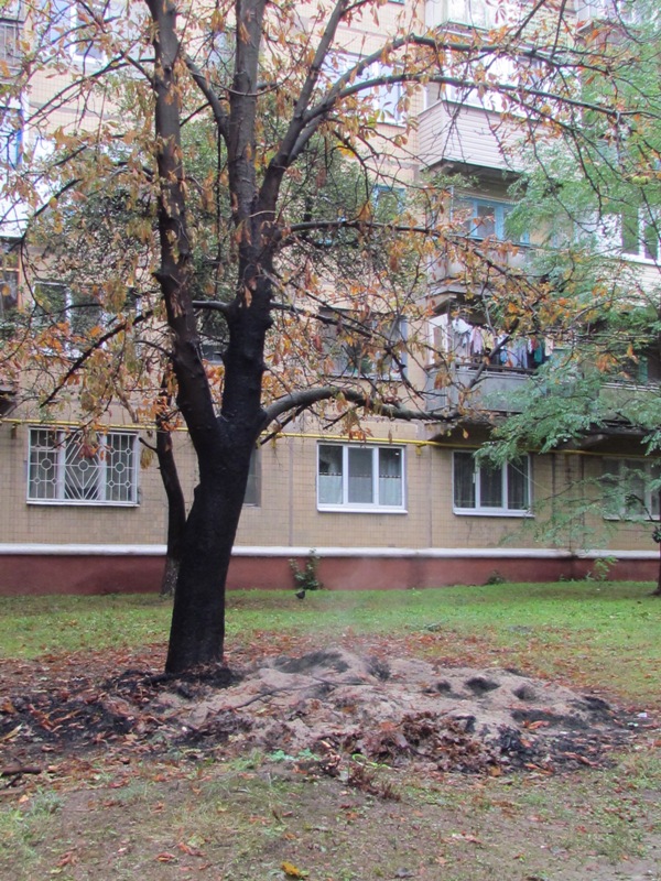 IMG 000800001