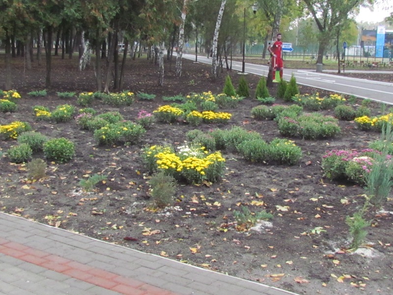 IMG 001066666664