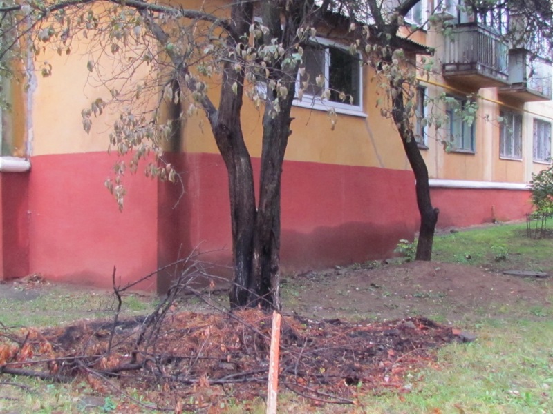 IMG 001300001