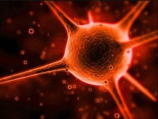 100118 virus 030615.thumb