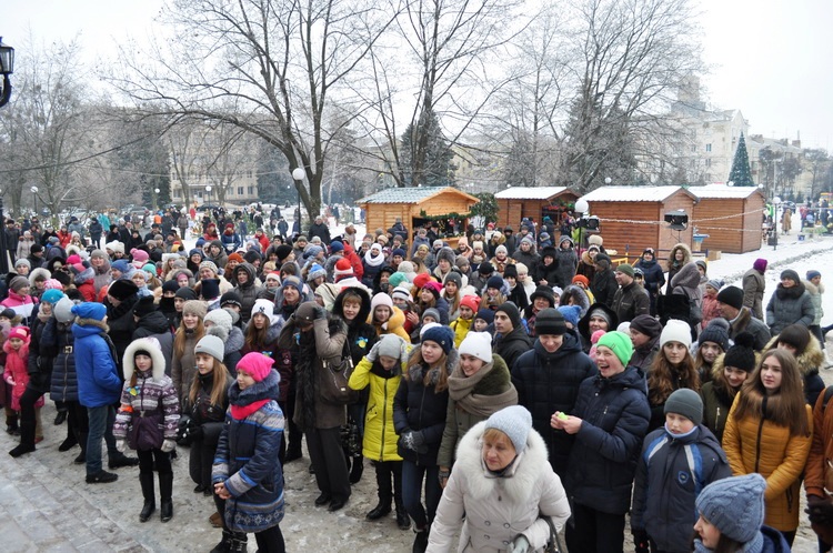 pic 24.12.16 241
