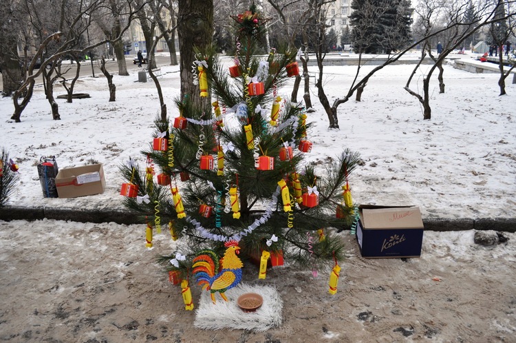 pic 24.12.16 27