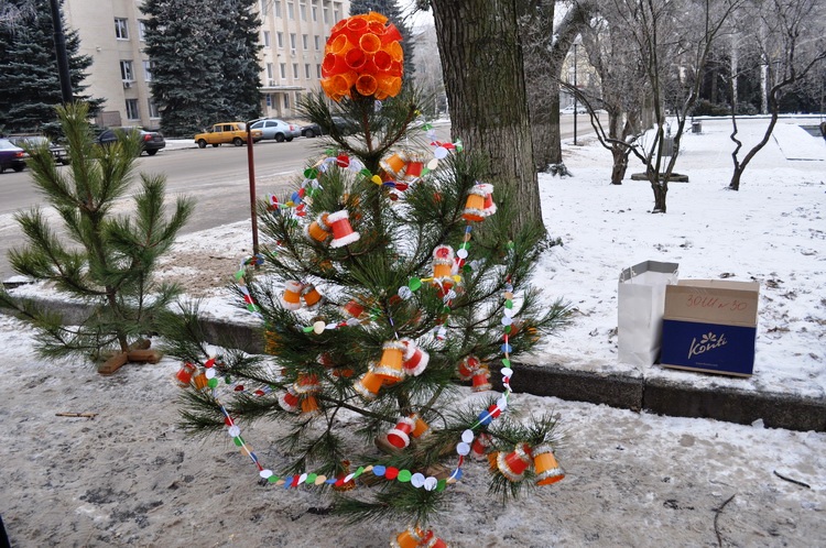 pic 24.12.16 29