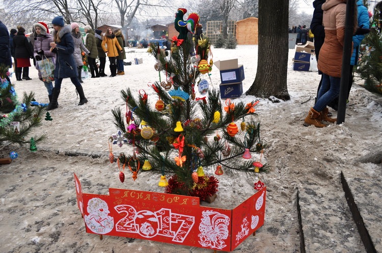 pic 24.12.16 31