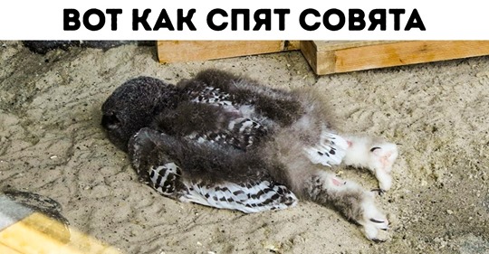 safe image777