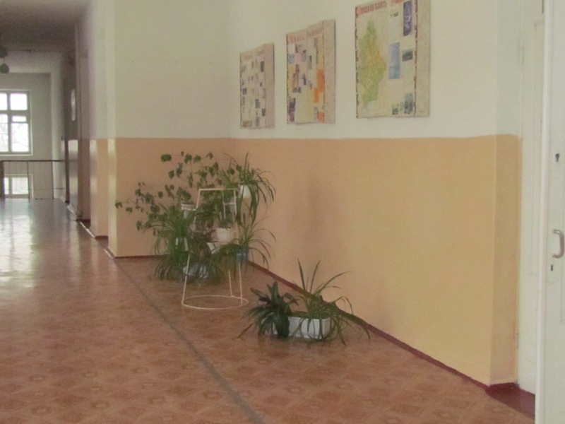 IMG 0042