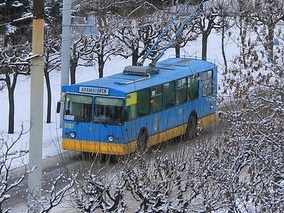 тралик