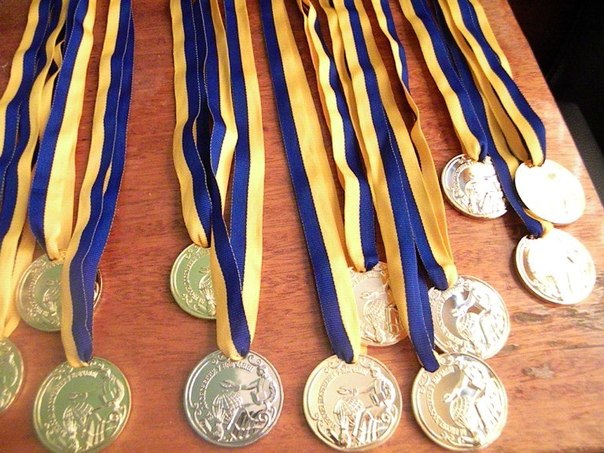 v kramatorske medalisti podtverdili uroven znaniy