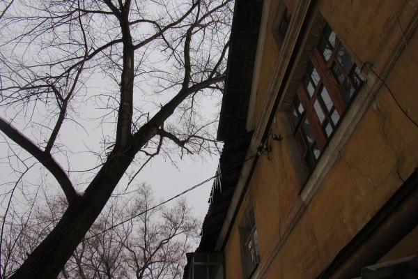 IMG 137755555555