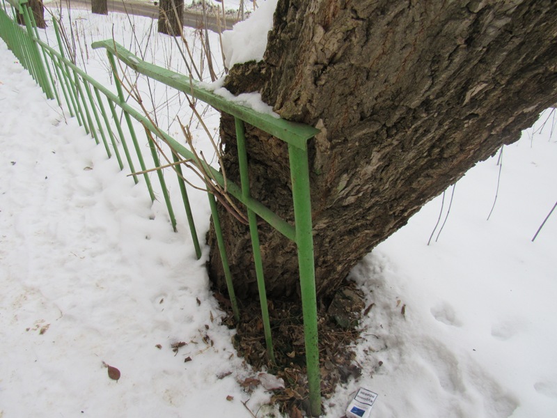IMG 13895555