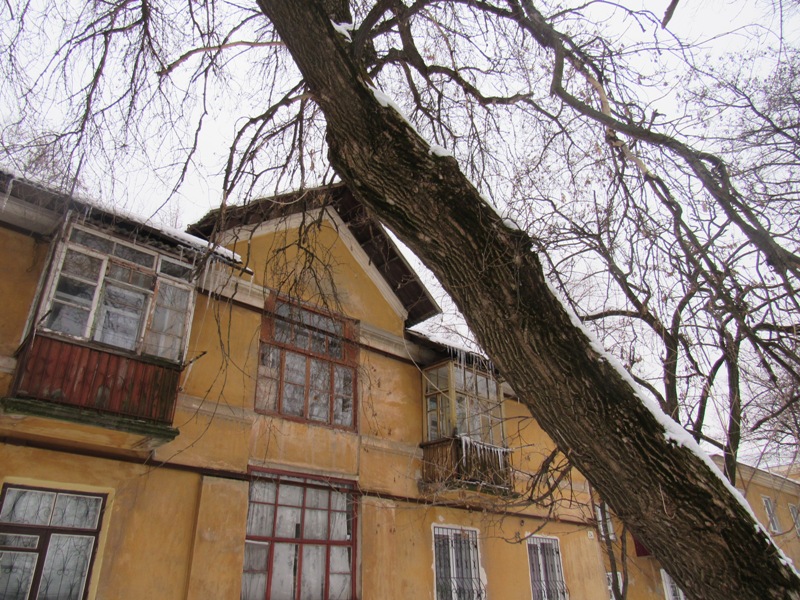 IMG 13925555