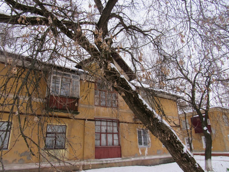 IMG 139555555