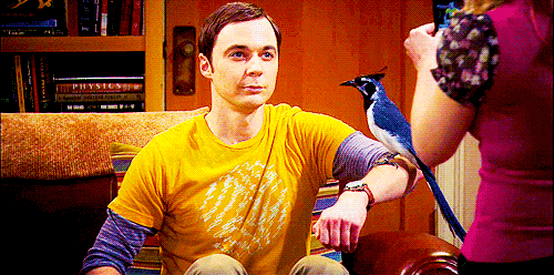 Sheldon Cooper Fan Art sheldon cooper 33892908 500 248 1477573265