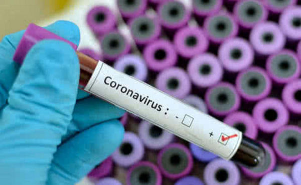 coronavirus 2