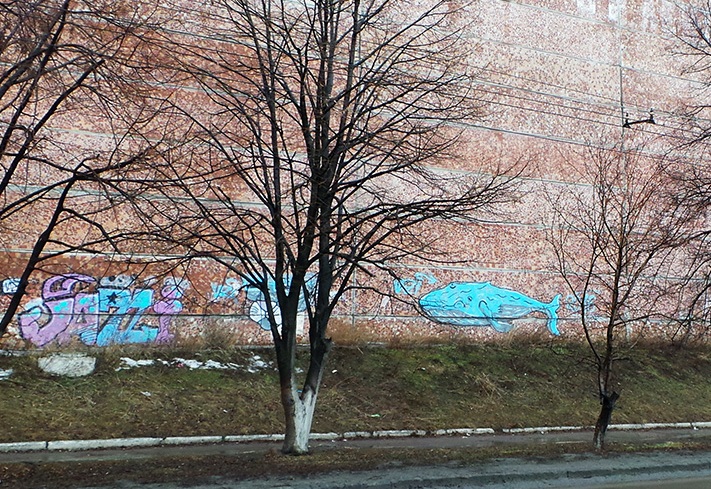 kit tsnil1