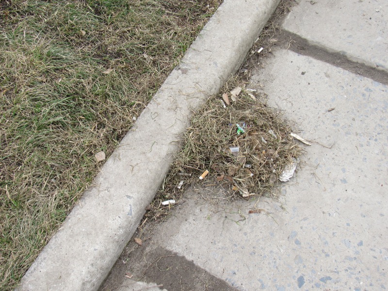 IMG 3114.JPG555
