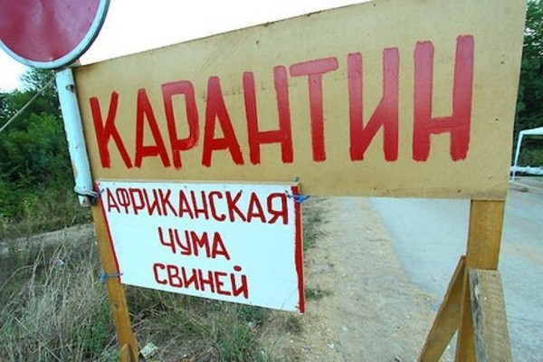 chuma sviney karantin kramatorsk