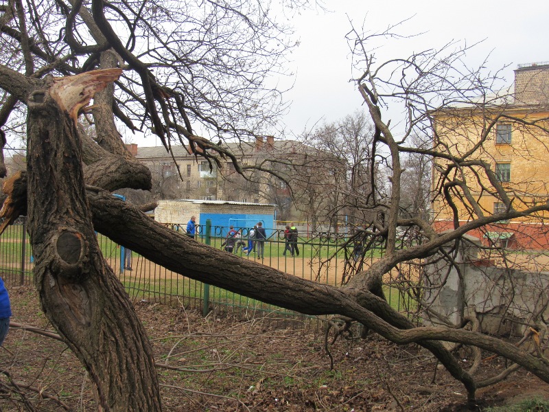 IMG 3759.JPG666