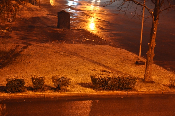 DSC 0009 копия